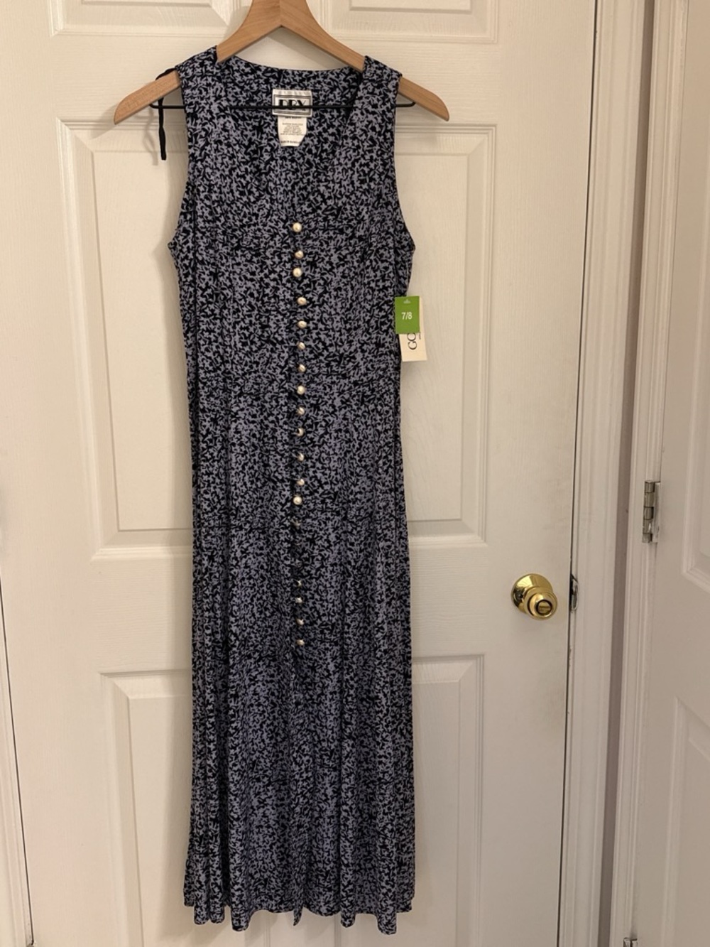 DBY Vintage Blue Floral Sleeveless Button-Front Maxi Dress.